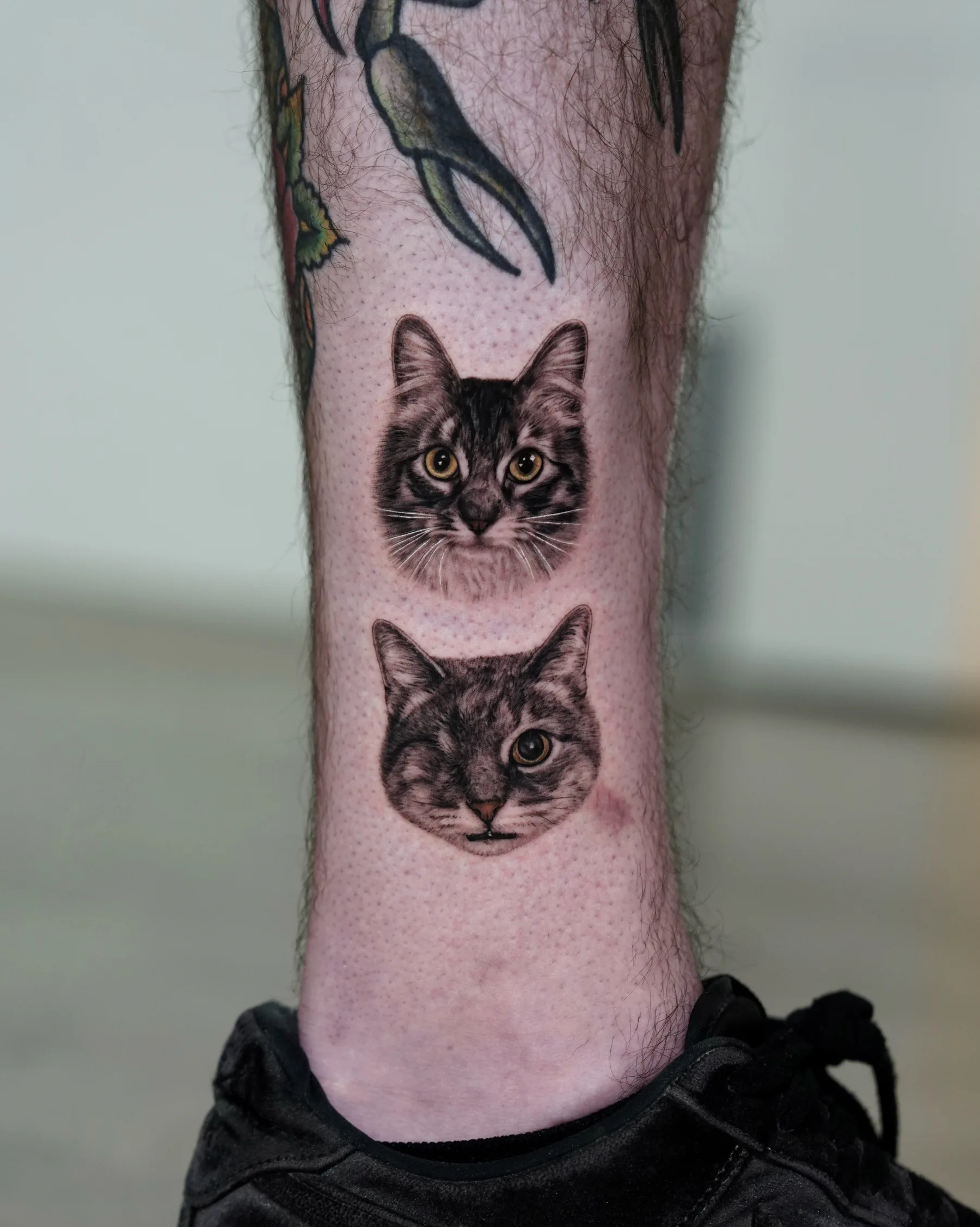 Black and grey portrait tattoo of two tabby cats on the ankle
