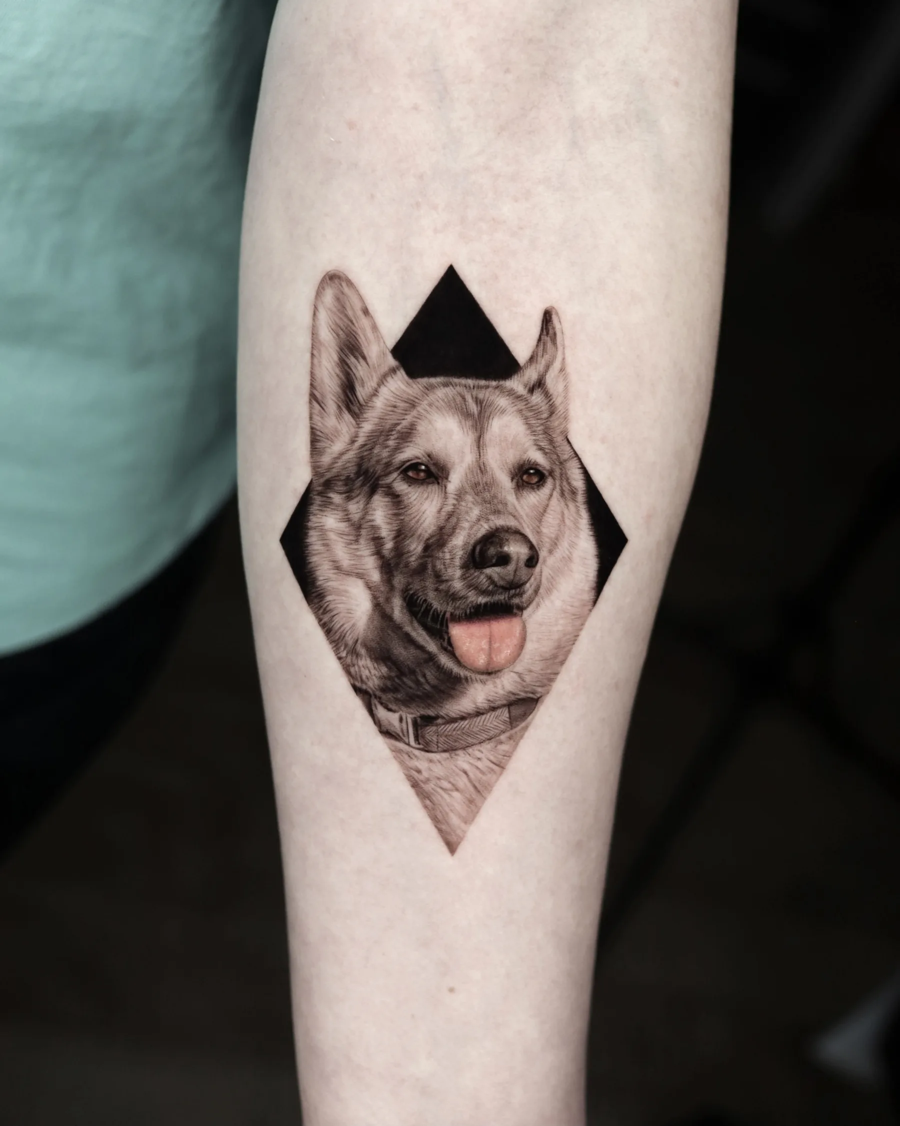 Black and grey shepherd dog portrait tattoo in a black diamond frame