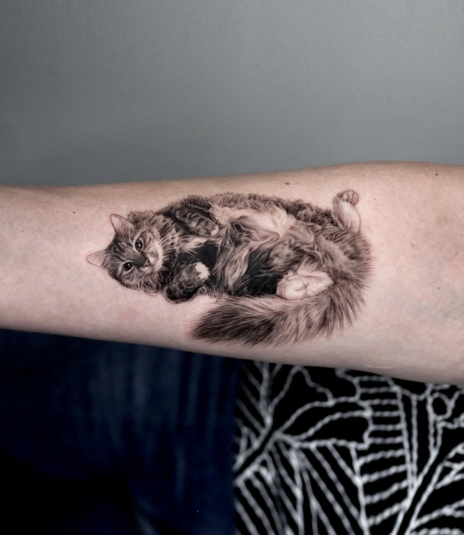 Black and grey tattoo of a fluffy cat lying on its back, forearm