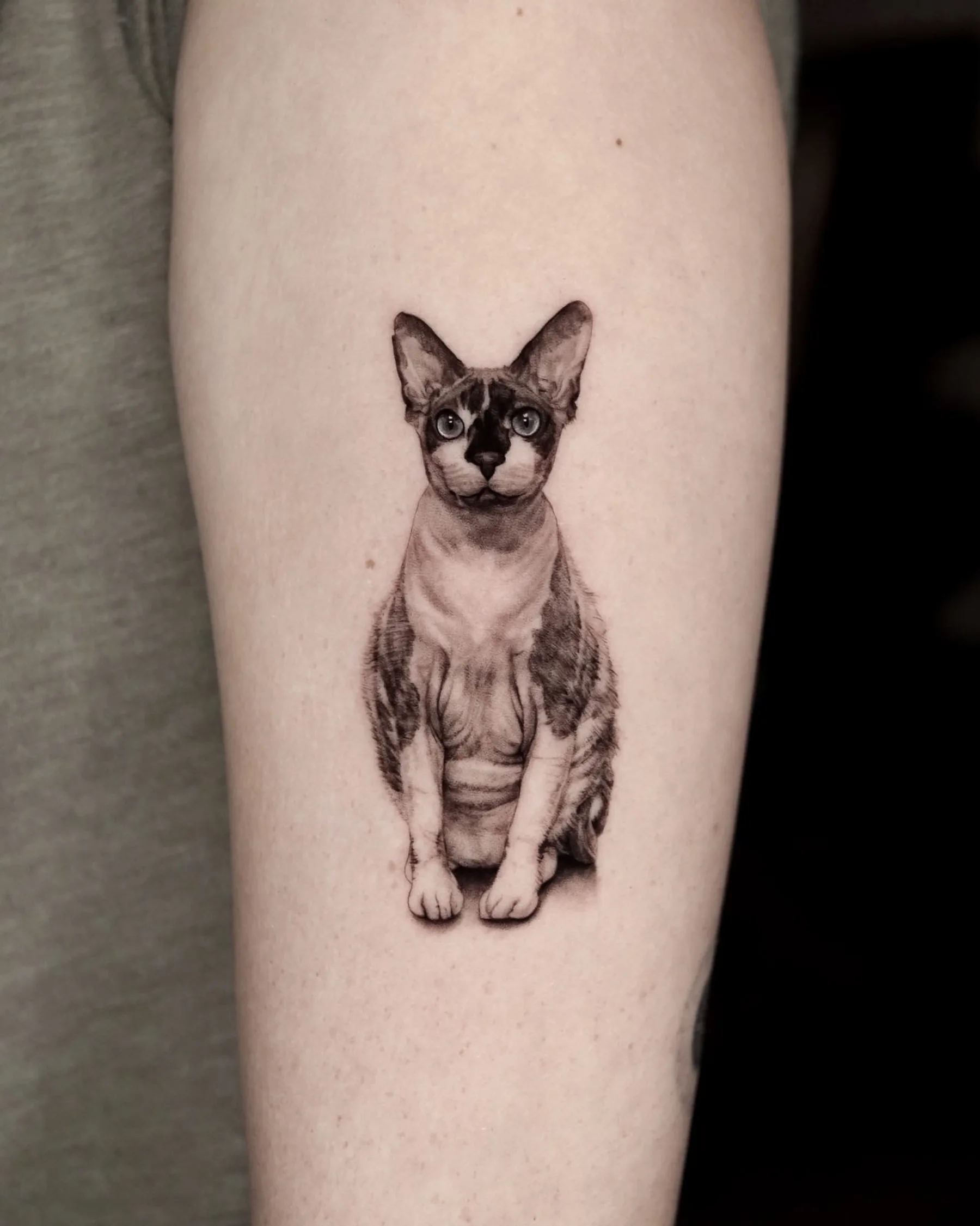 Black and grey tattoo of a sitting Sphynx cat with blue eyes