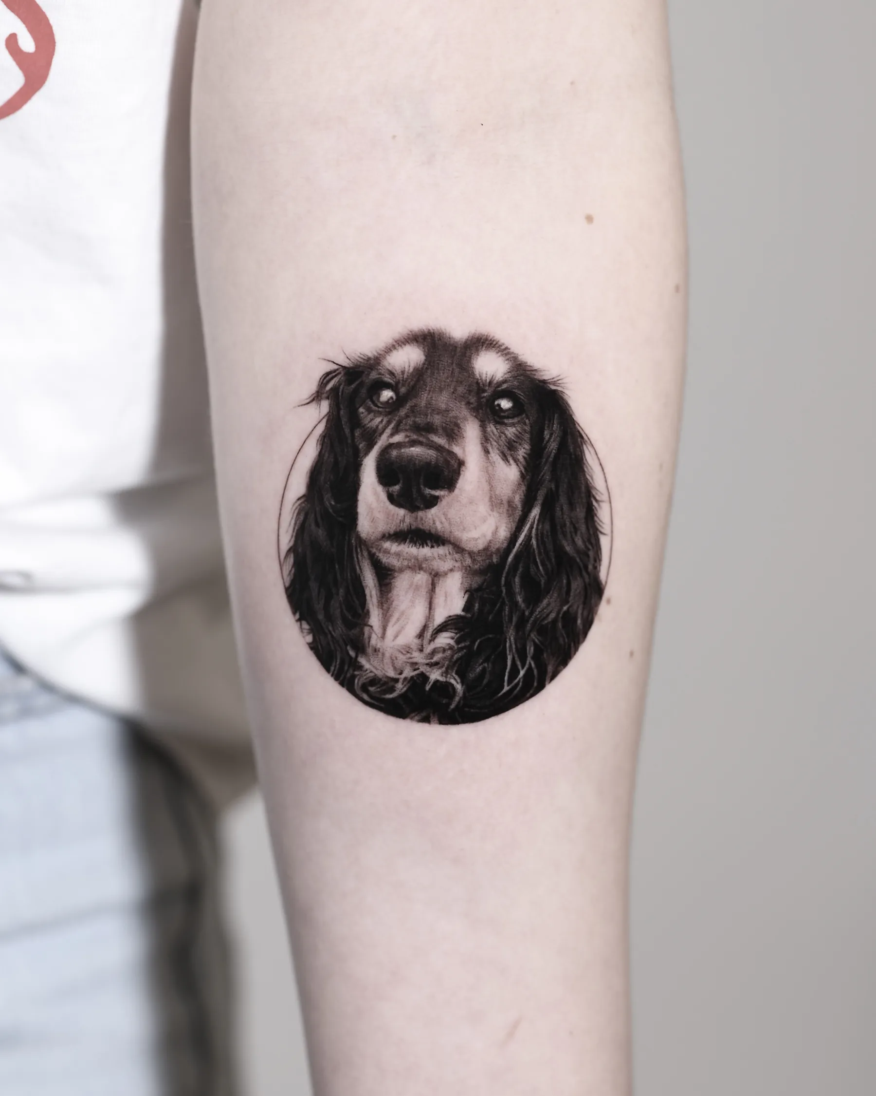 Black and grey spaniel portrait tattoo inside a circle, forearm
