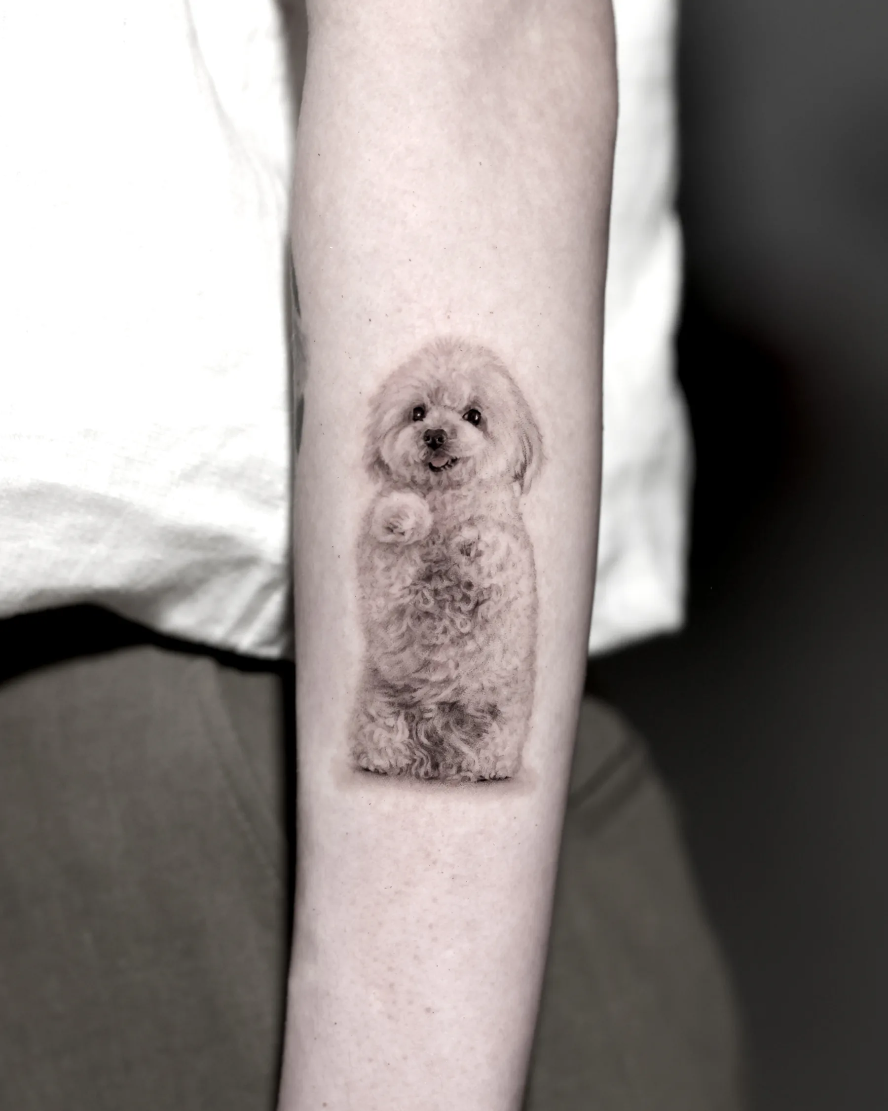 Black and grey tattoo of a fluffy poodle standing on hind legs