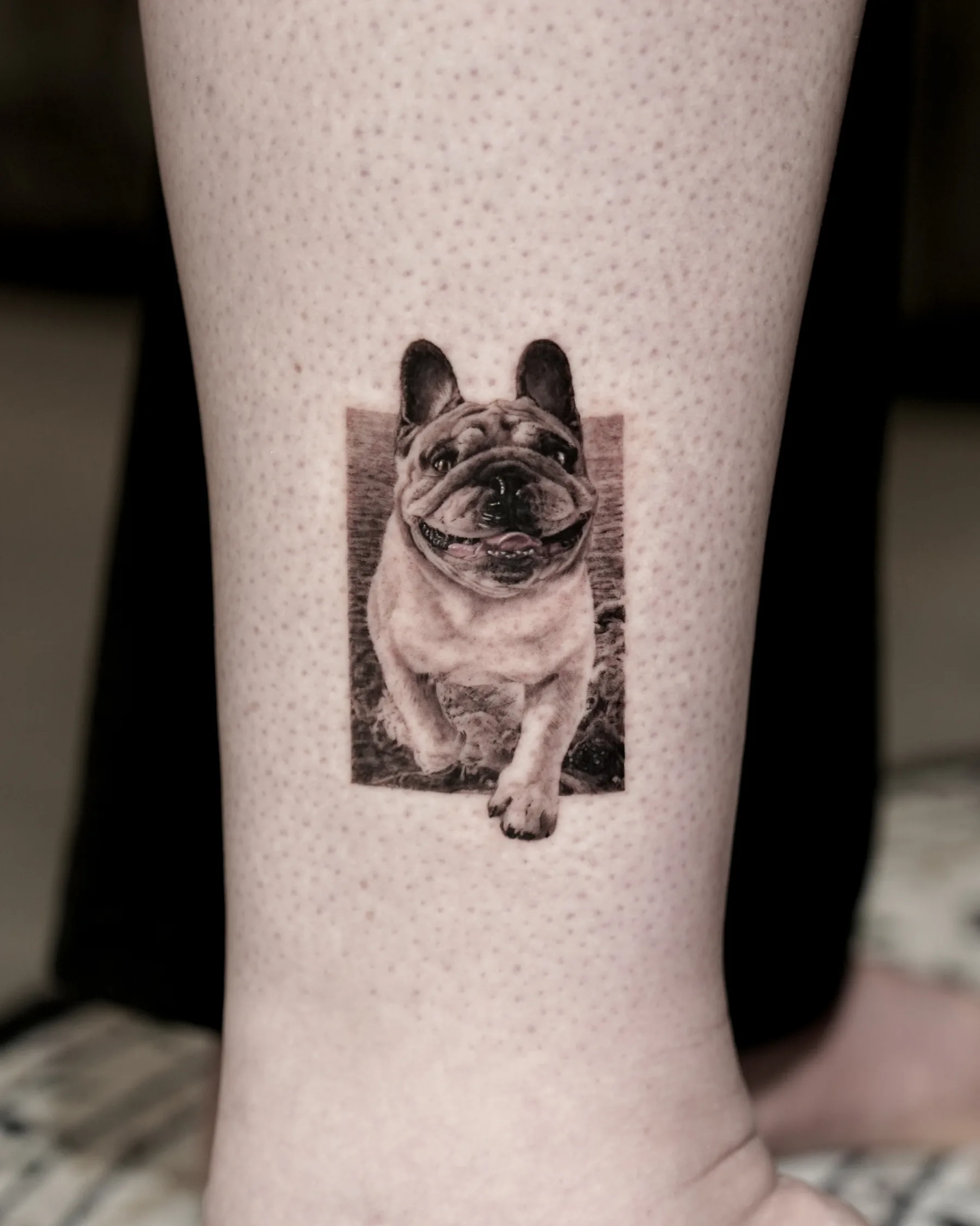 Black and grey French bulldog running on the beach tattoo, ankle