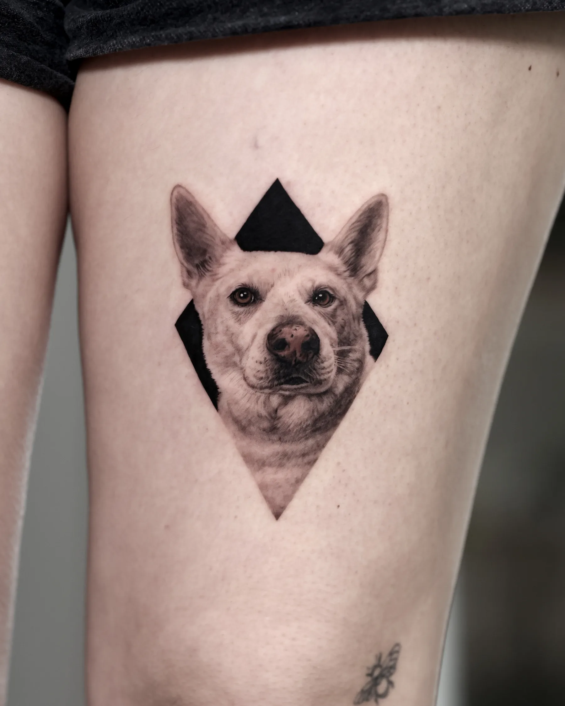Black and grey white dog portrait tattoo in a black diamond, thigh