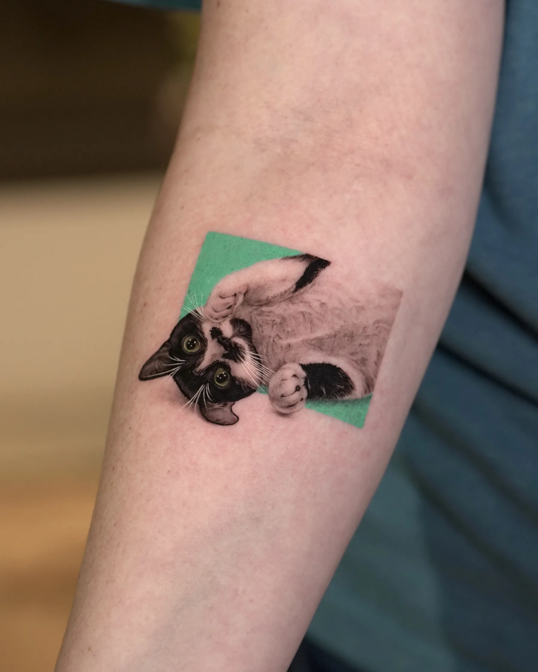 Color portrait tattoo of a black and white cat