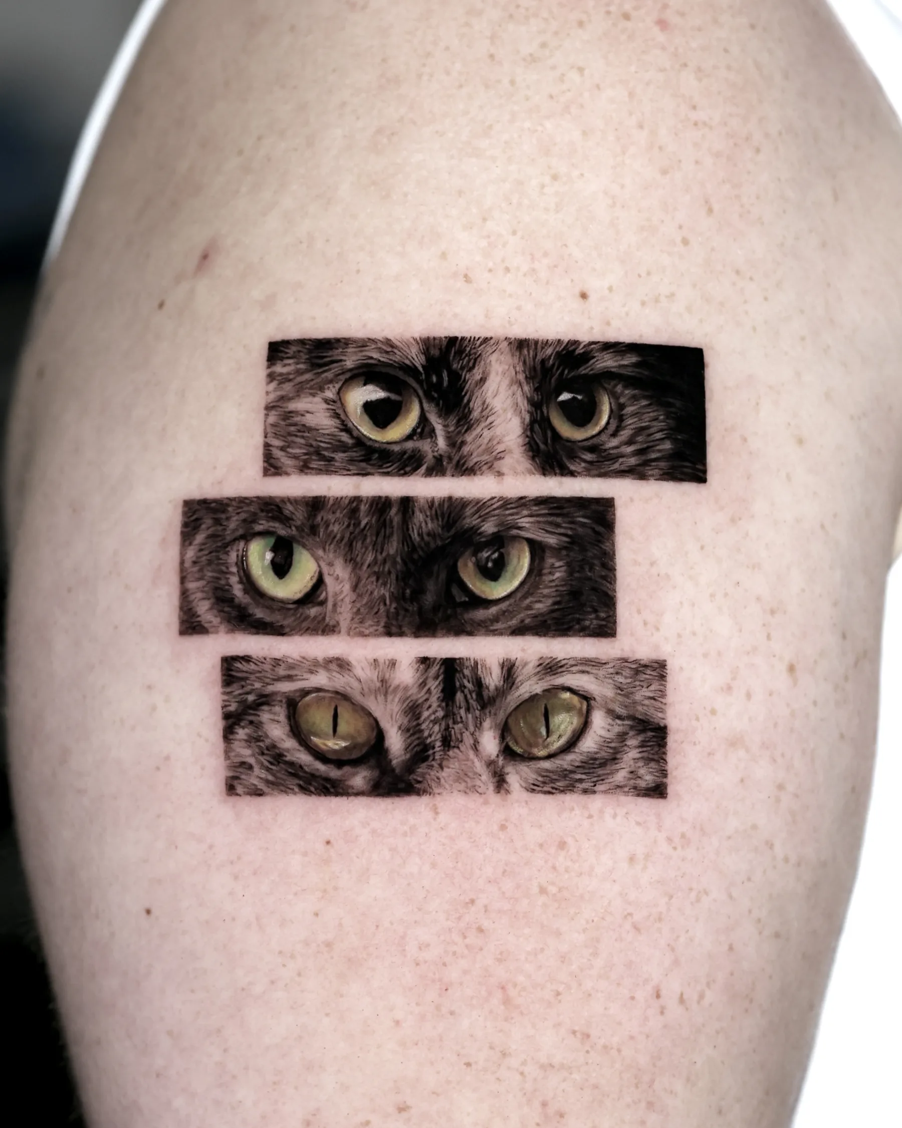 Three pairs of cat eyes tattoo in rectangular panels on the shoulder