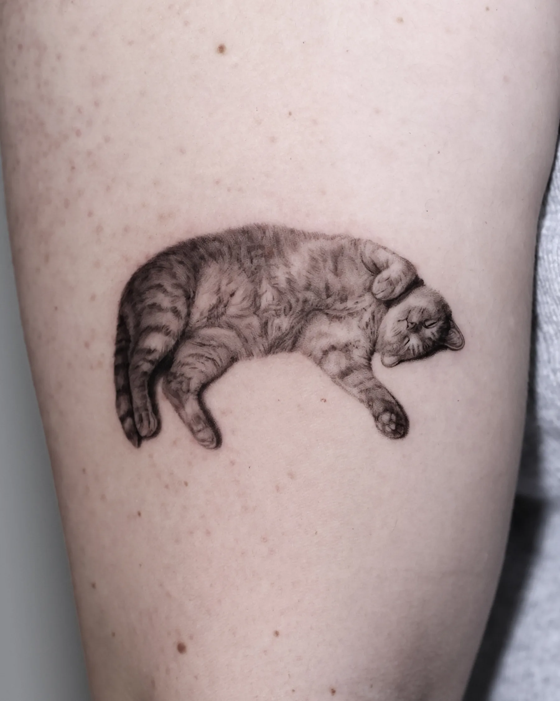Black and grey tattoo of a tabby cat sleeping on its back