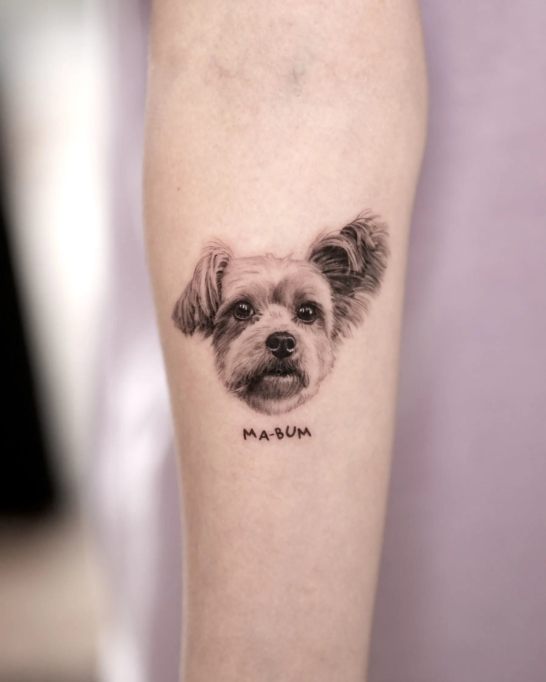Black and grey small terrier portrait tattoo with the name Ma-Bum