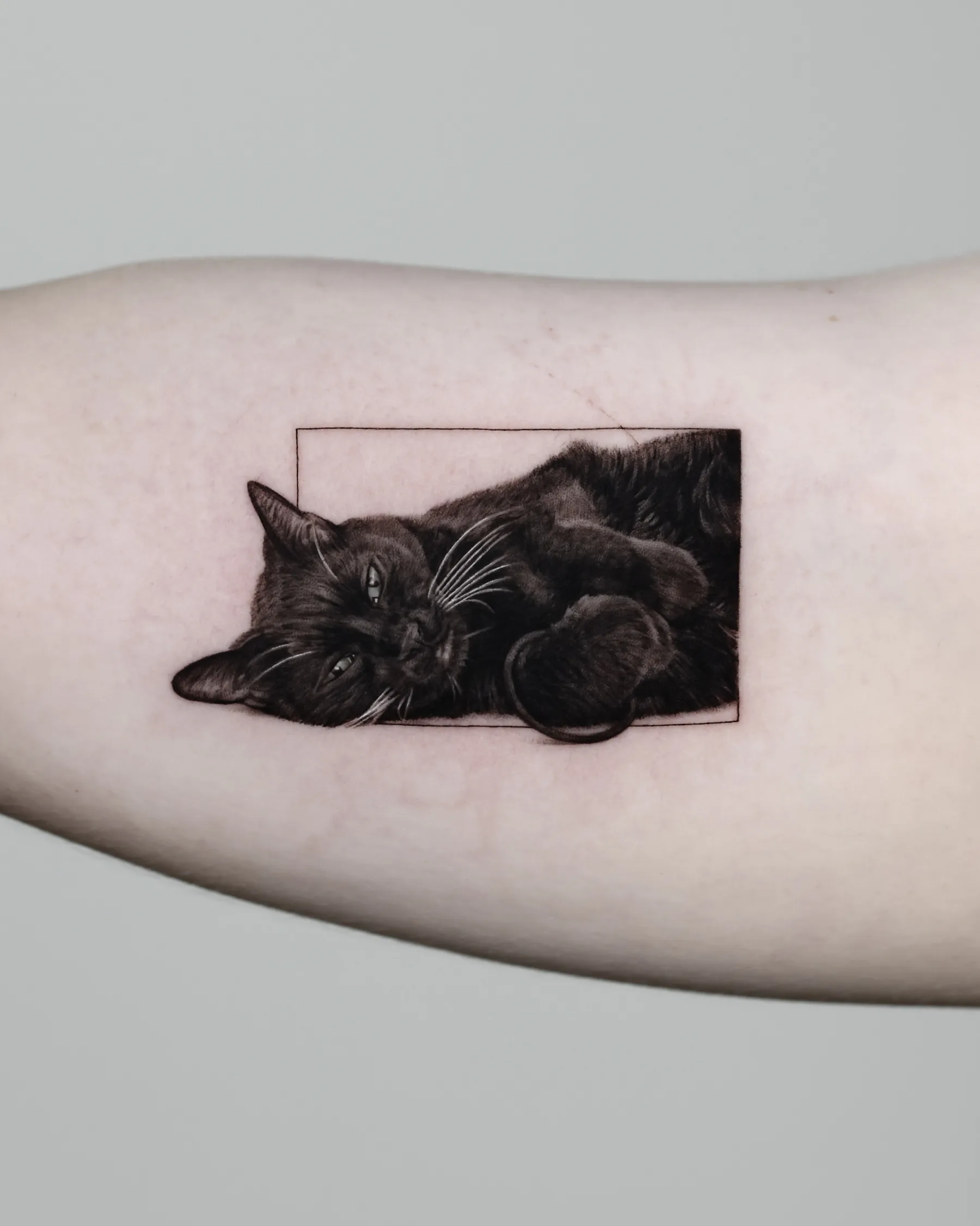 Black and grey tattoo of a black cat lying in a thin rectangle frame
