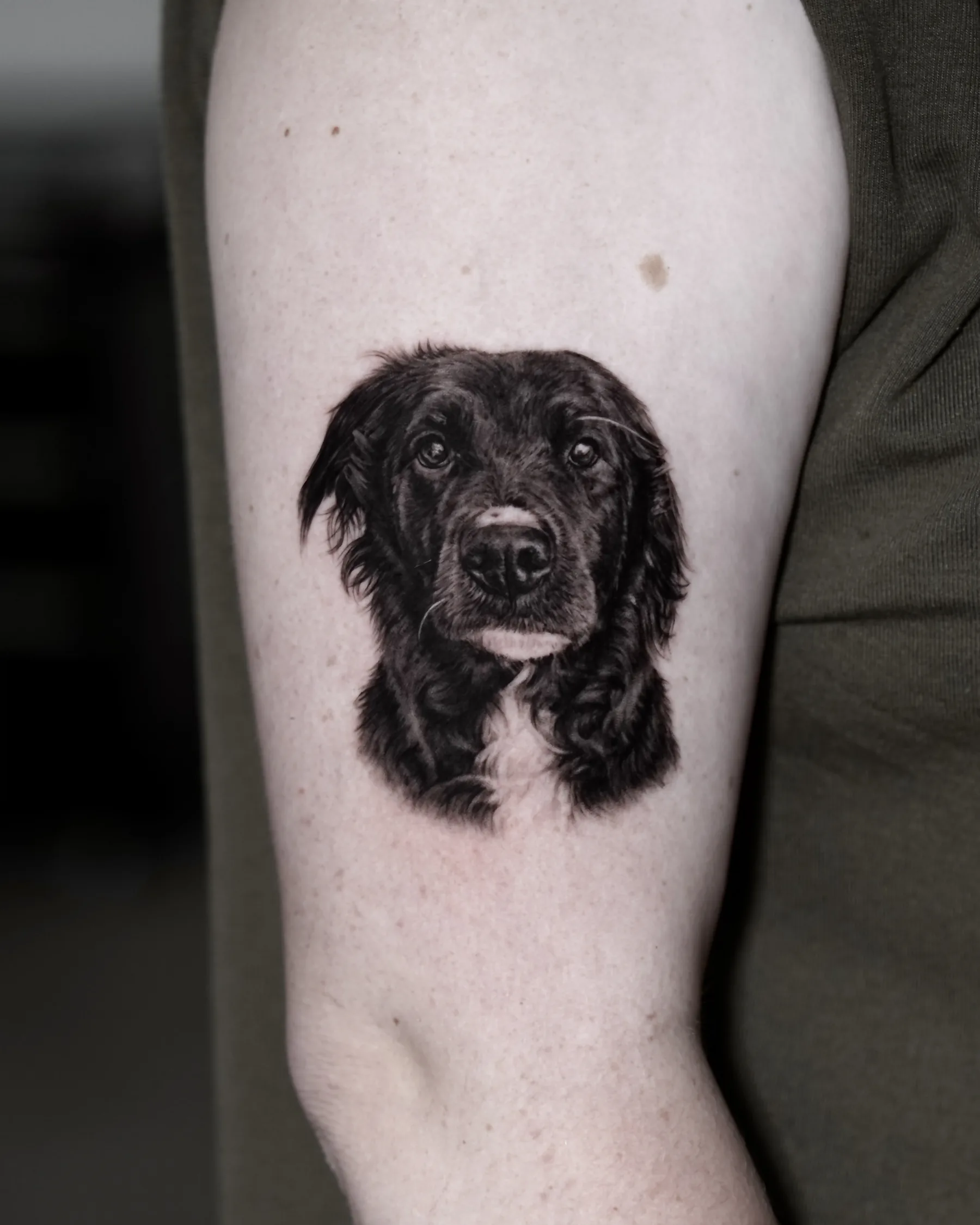 Black and grey portrait tattoo of a black long-haired dog, upper arm