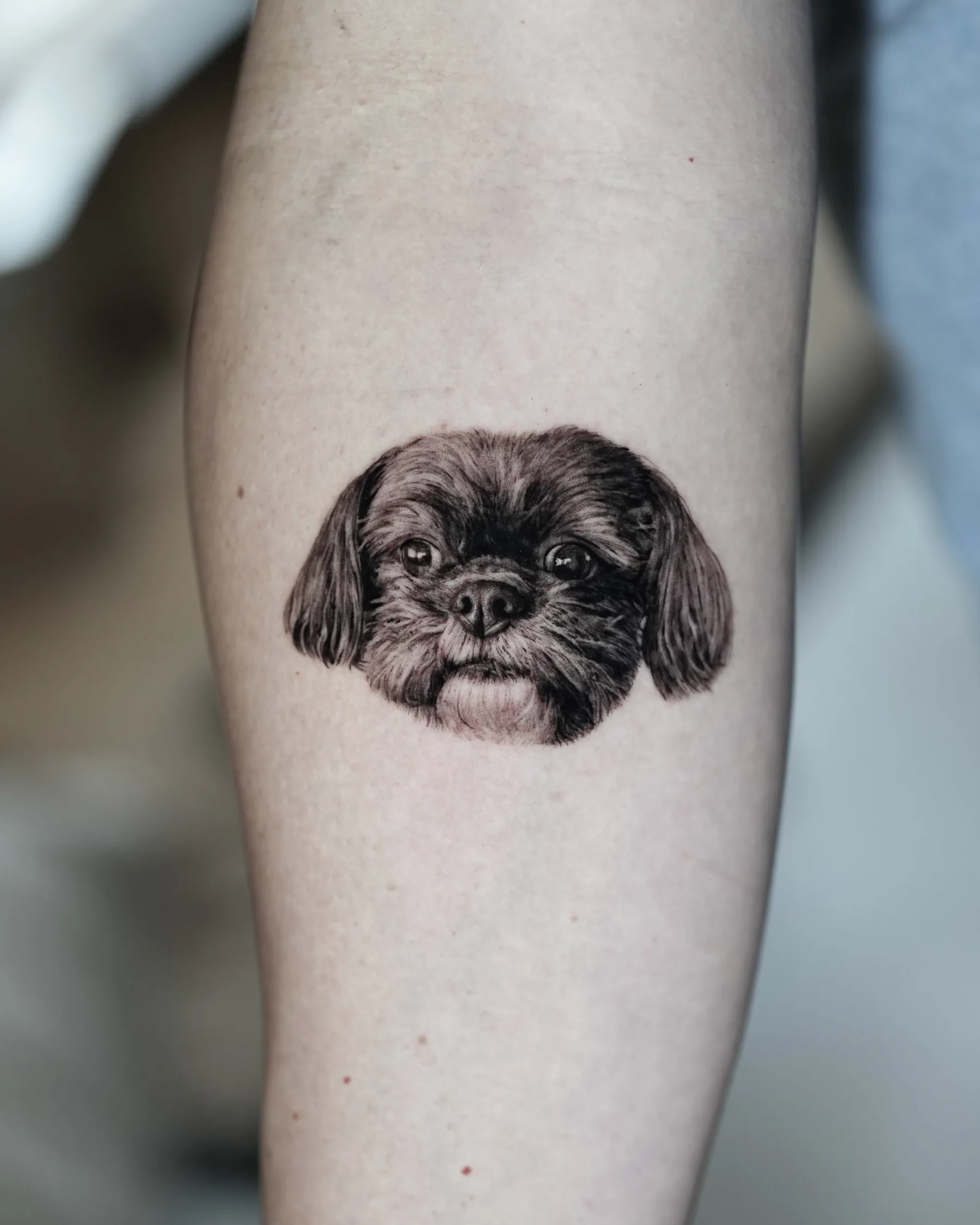 Black and grey Shih Tzu portrait tattoo with tongue out