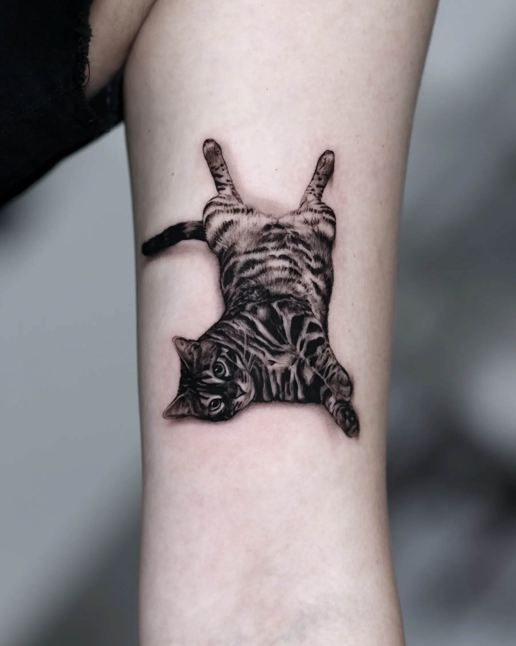 Black and grey tattoo of a tabby cat stretched out on its back, upper arm