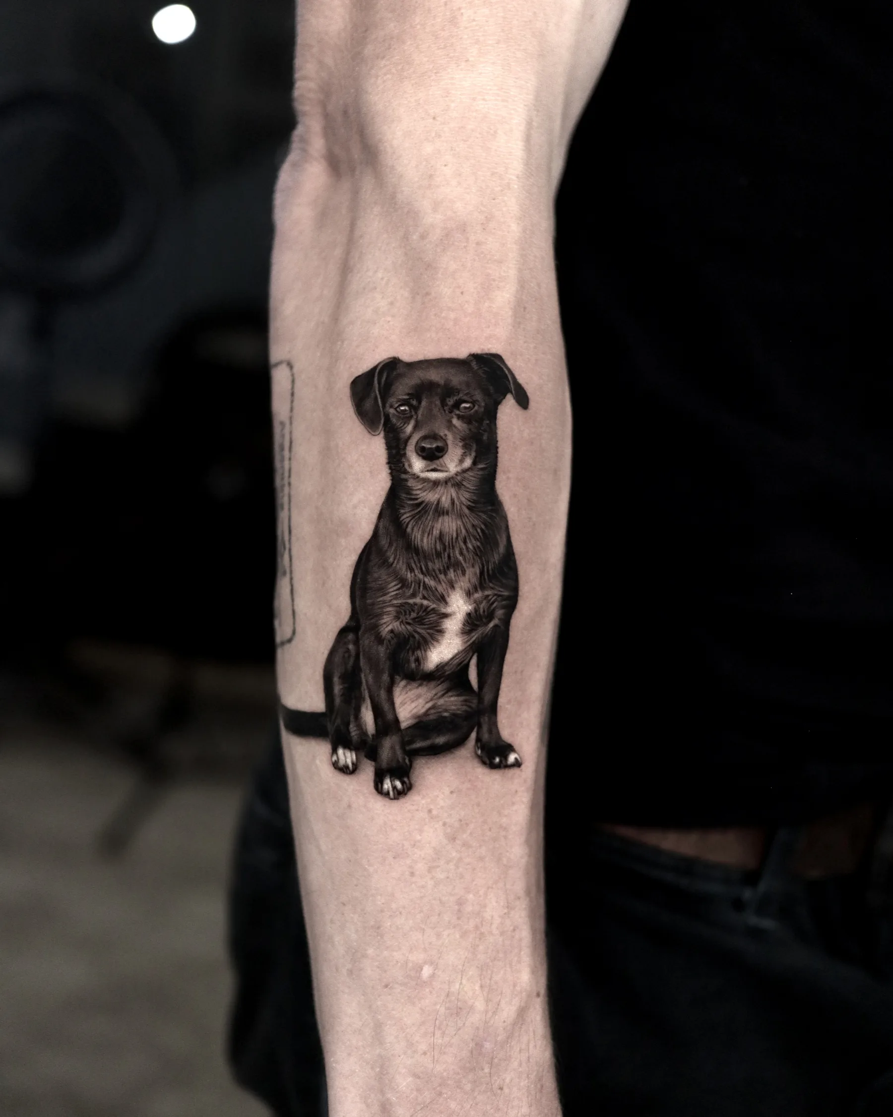 Black and grey tattoo of a small black dog sitting, forearm