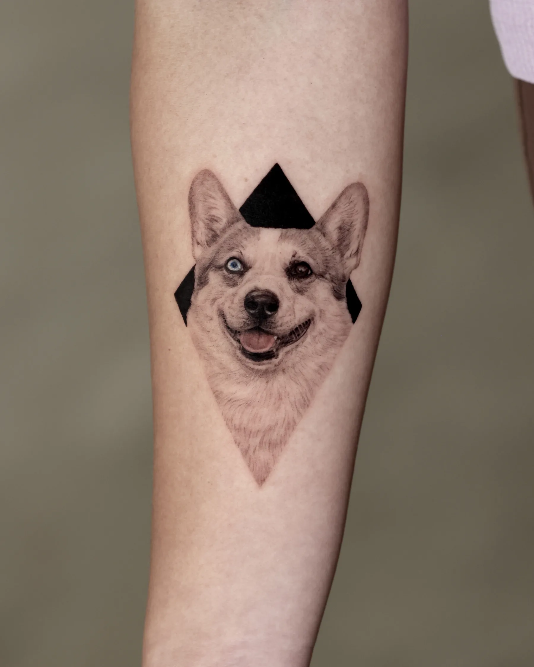 Black and grey corgi portrait tattoo with heterochromia in a black diamond