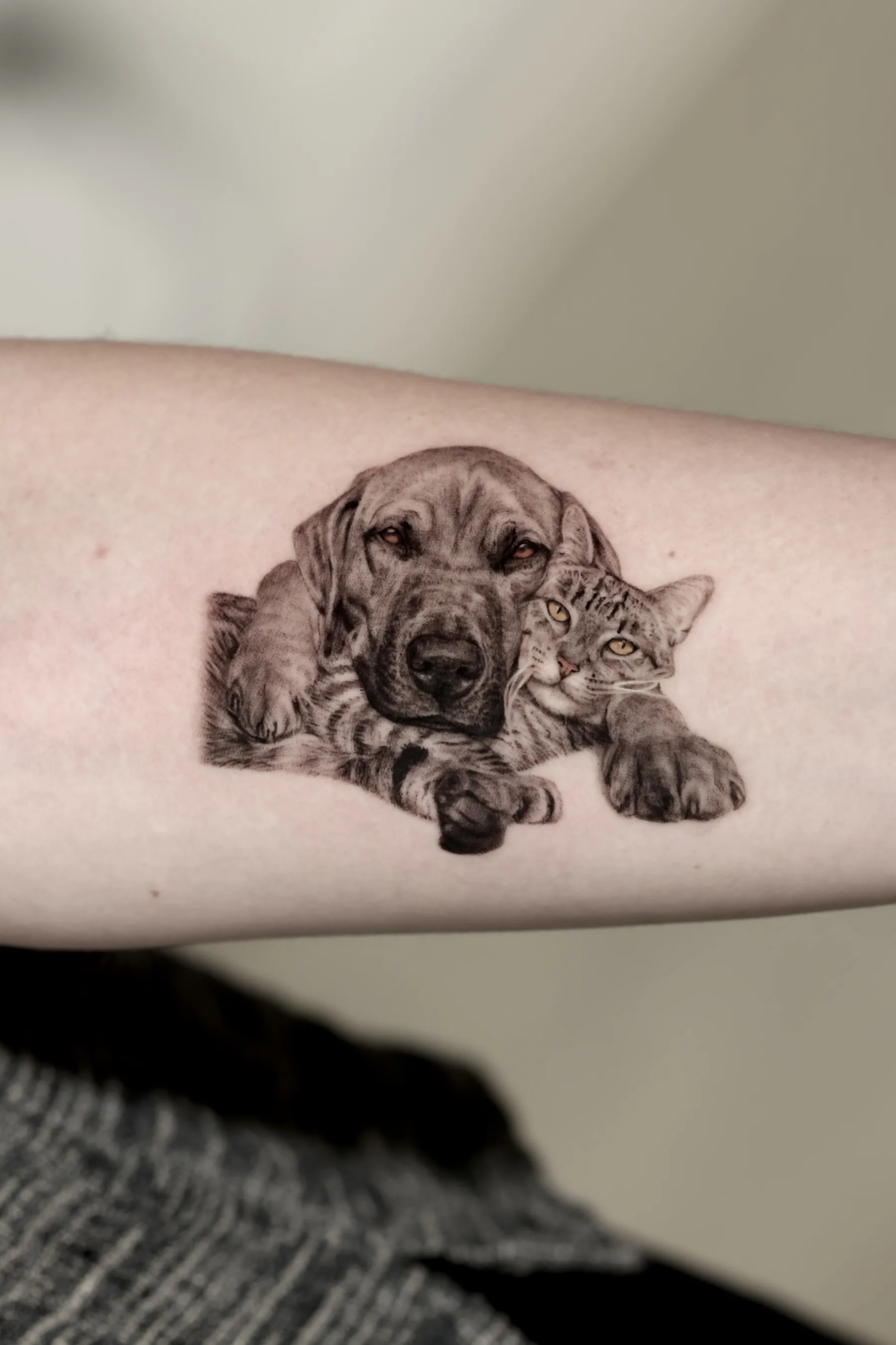 Black and grey portrait tattoo of a cat and dog together