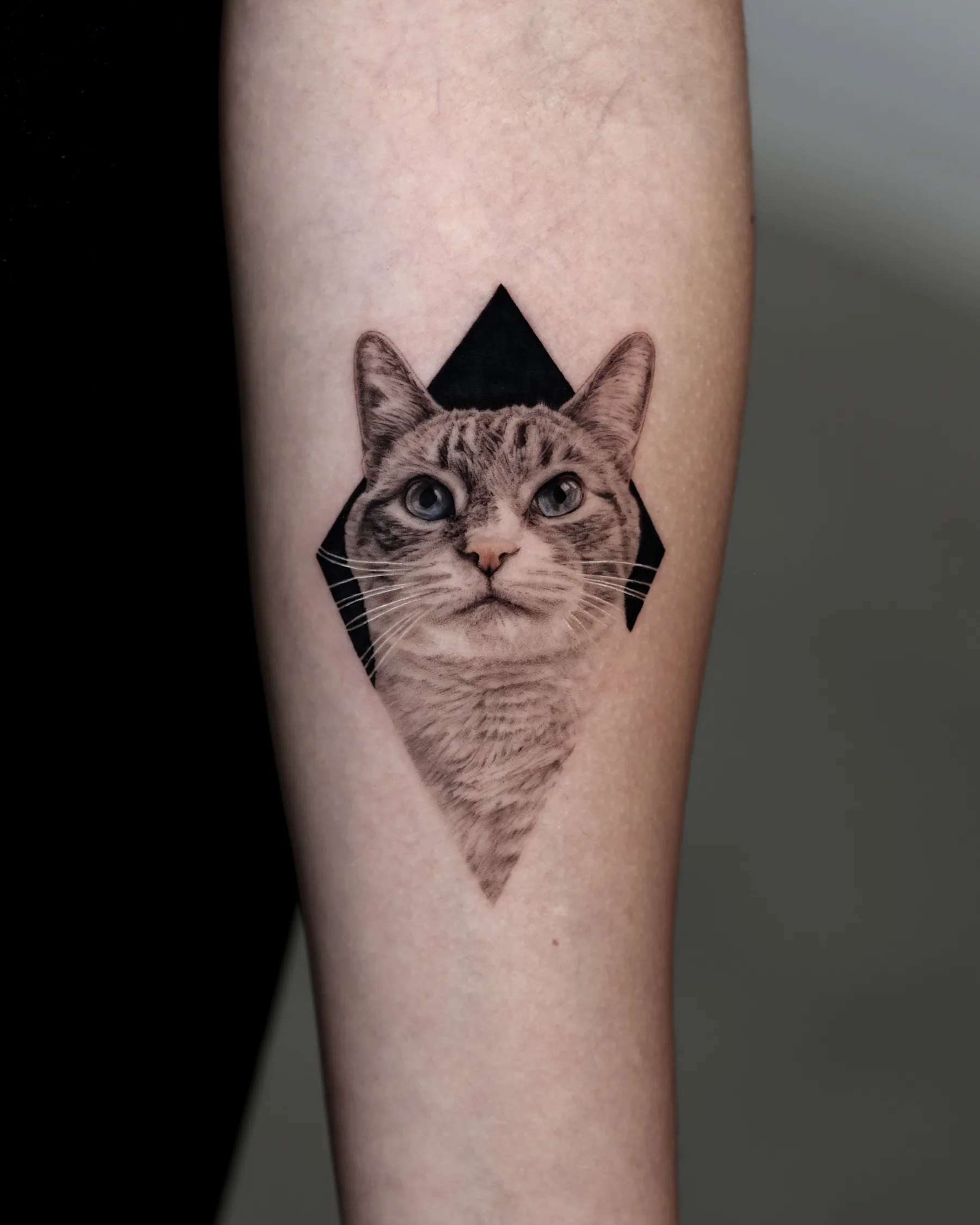 Black and grey cat portrait tattoo with blue eyes in a black diamond