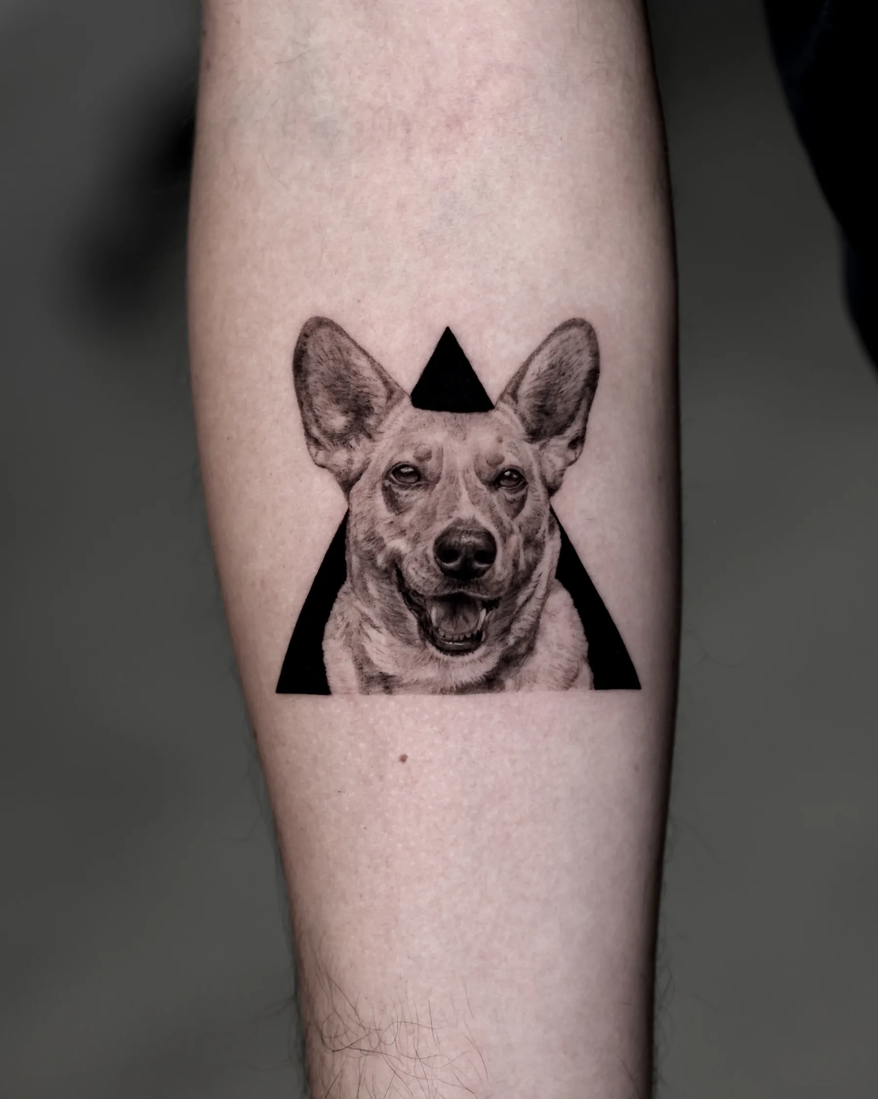 Black and grey smiling dog portrait tattoo in a black triangle, forearm