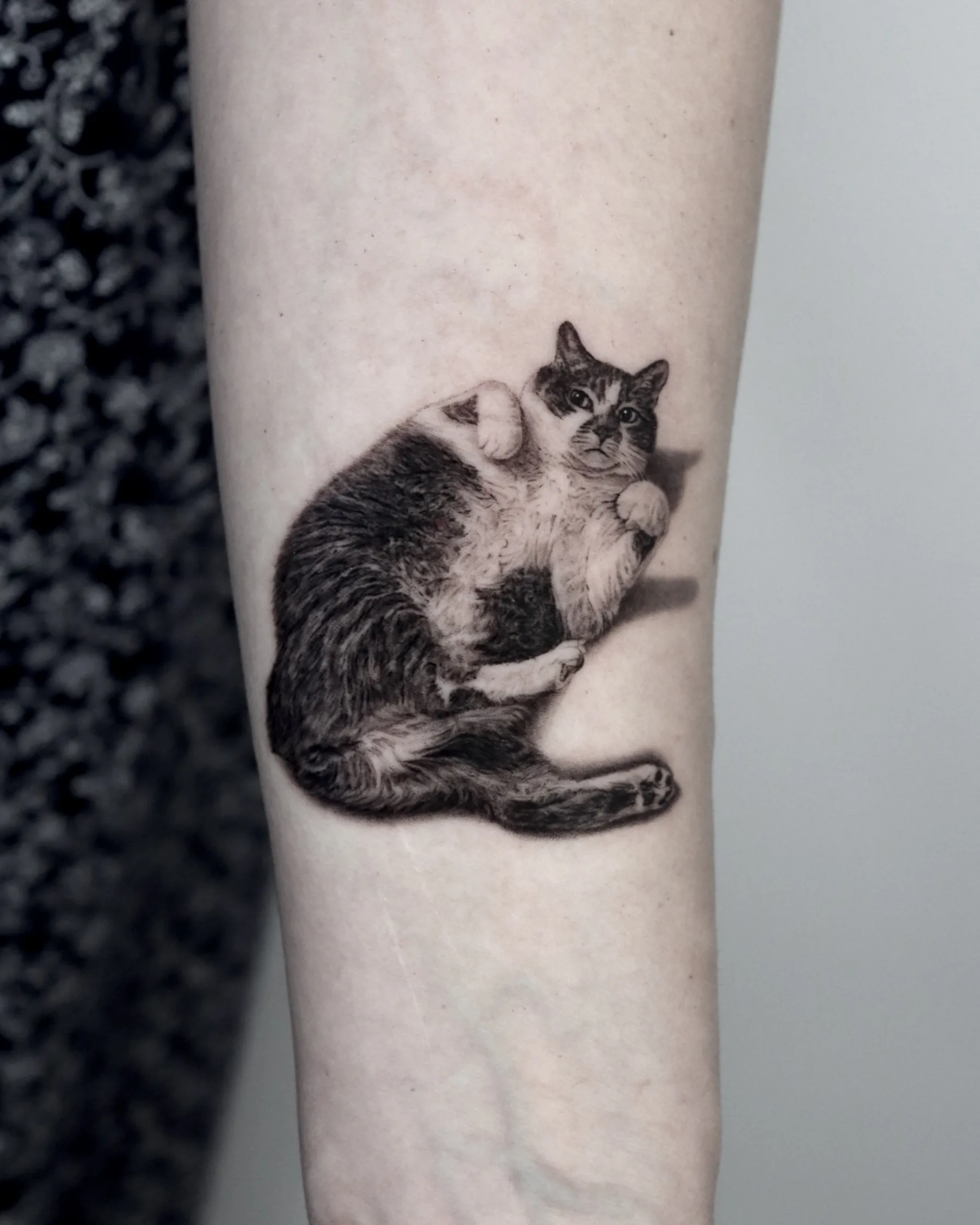 Black and grey tattoo of a fluffy cat sitting upright, forearm