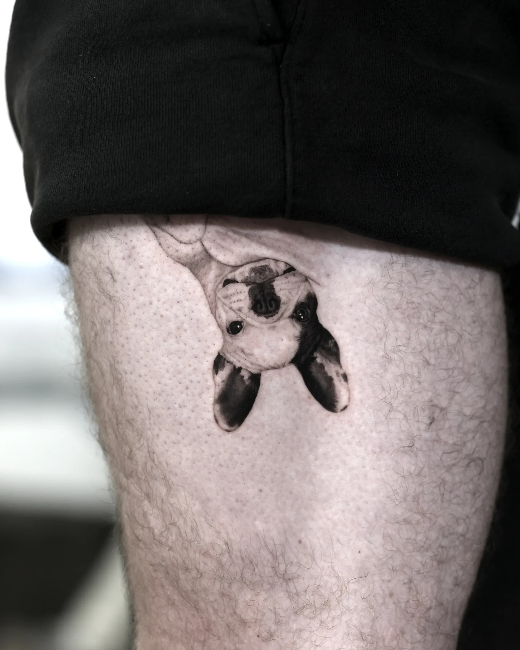 Black and grey upside-down dog portrait tattoo