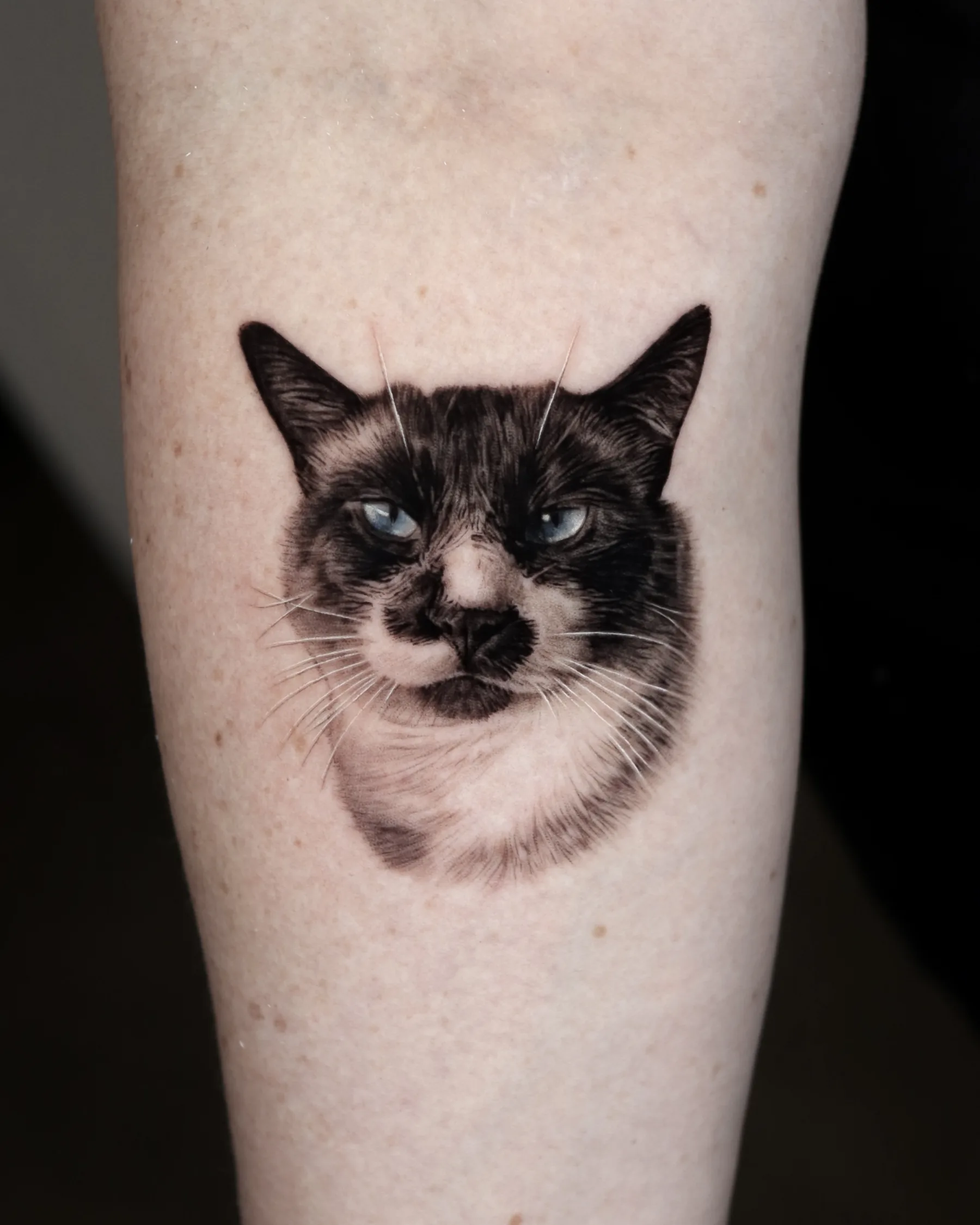 Black and grey Siamese cat portrait tattoo with blue eyes