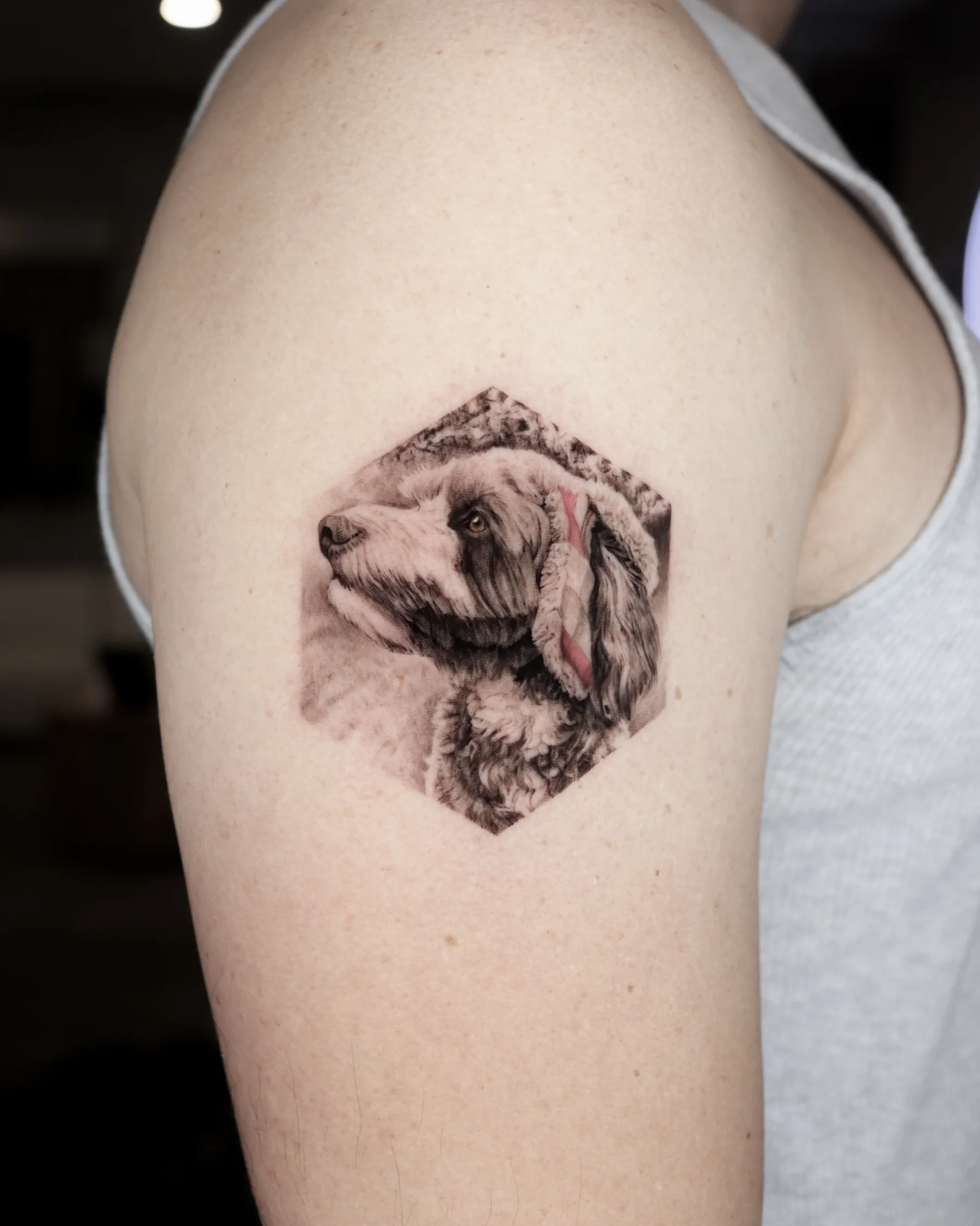 Black and grey spaniel portrait tattoo wearing a bandana in a hexagon, upper arm