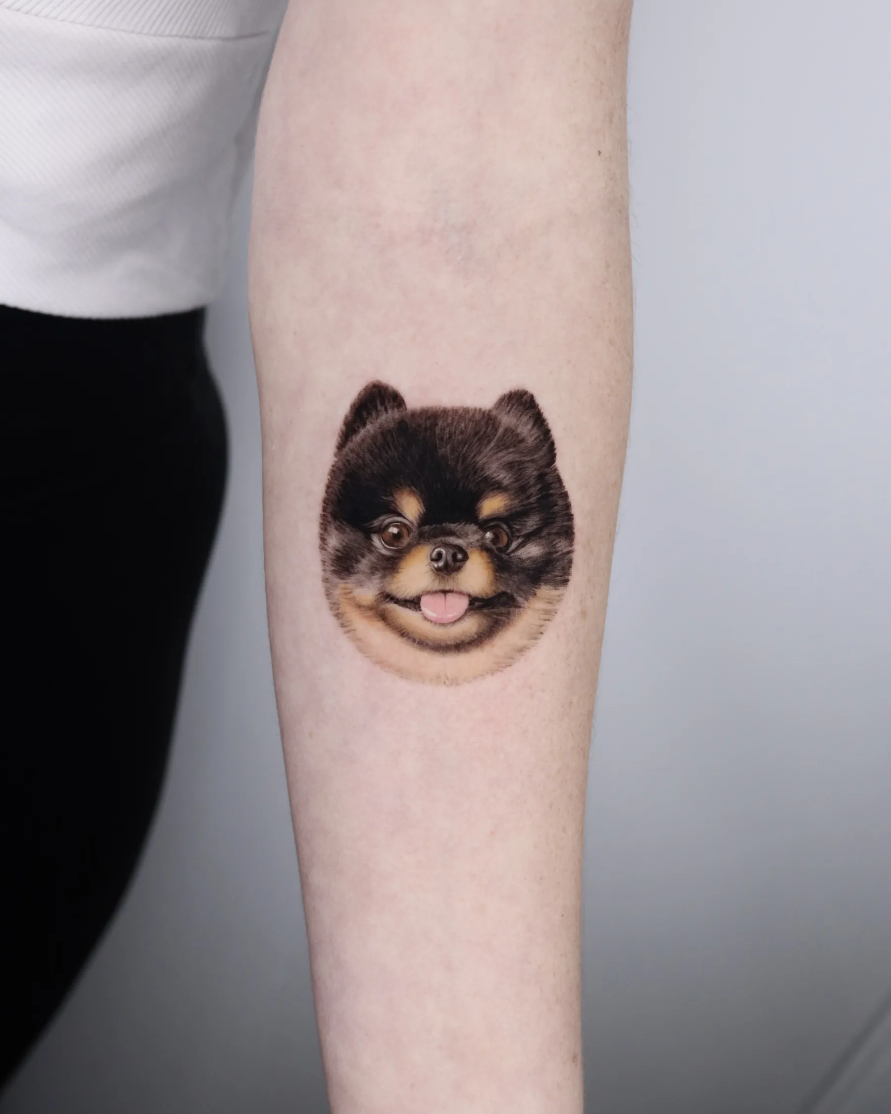 Color portrait tattoo of a black and tan Pomeranian, forearm