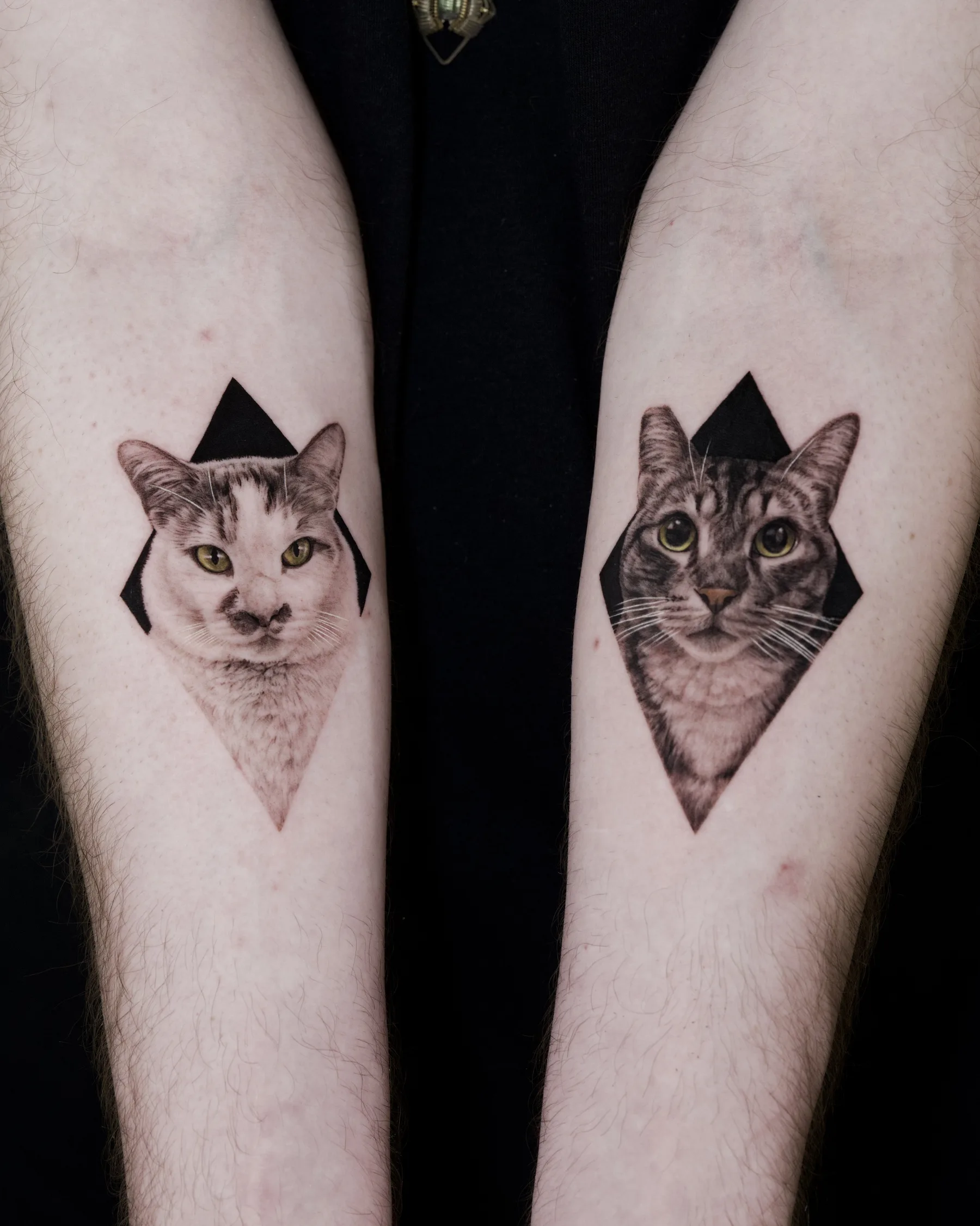 Black and grey matching cat portrait tattoos in diamonds on both forearms