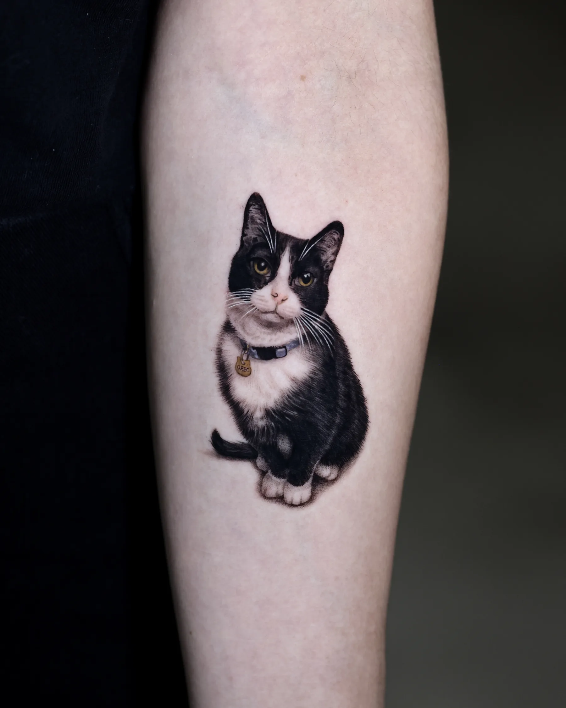 Color tattoo of a sitting tuxedo cat with a blue collar and Oreo tag