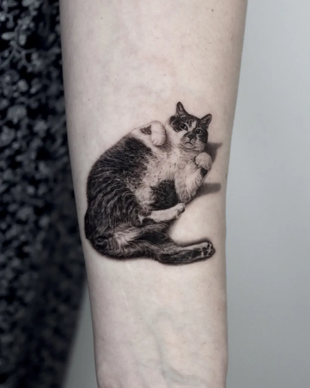 Black and grey realistic tattoo of a cat curled up
