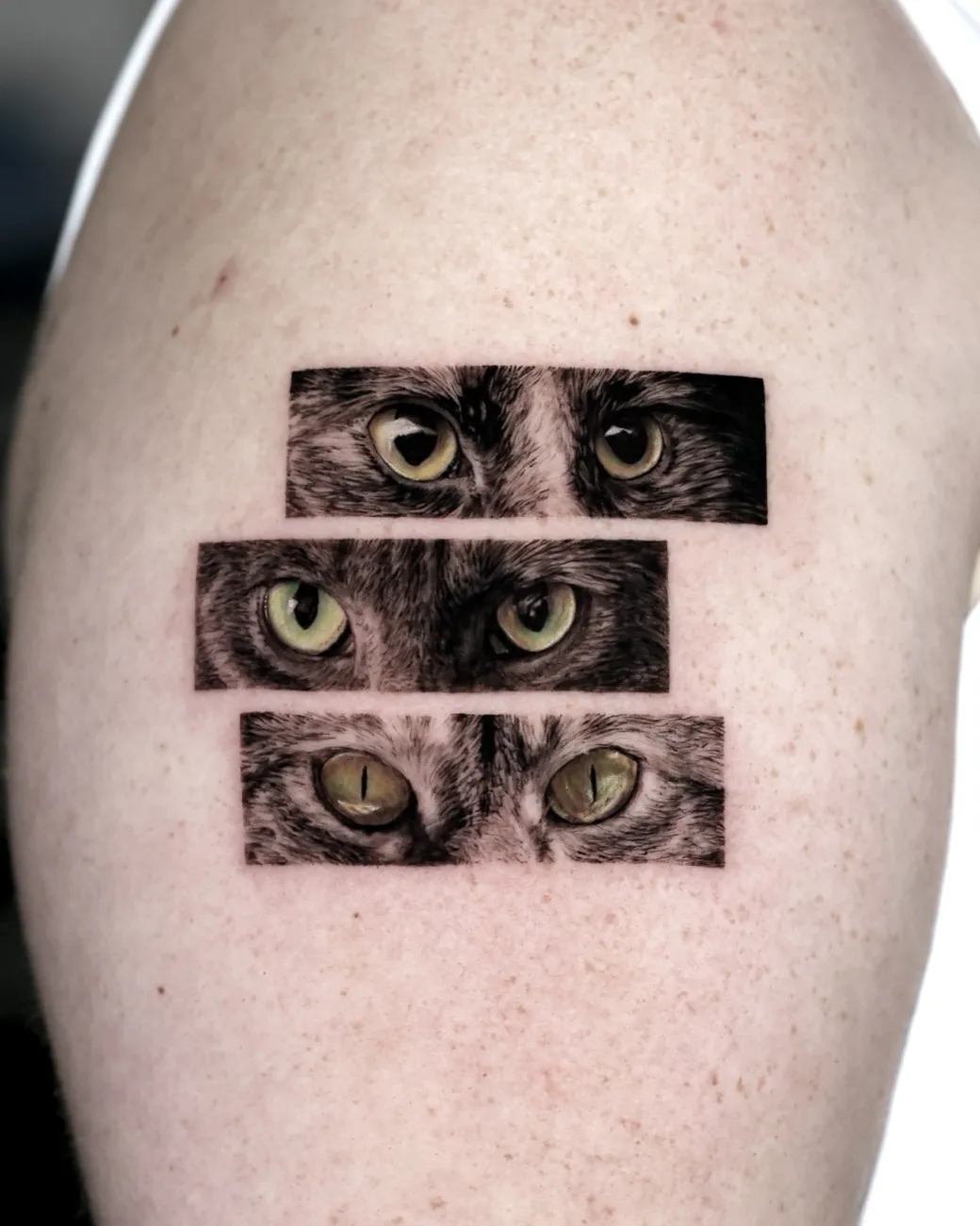 Graphic black and grey tattoo of cat eyes split across three strips