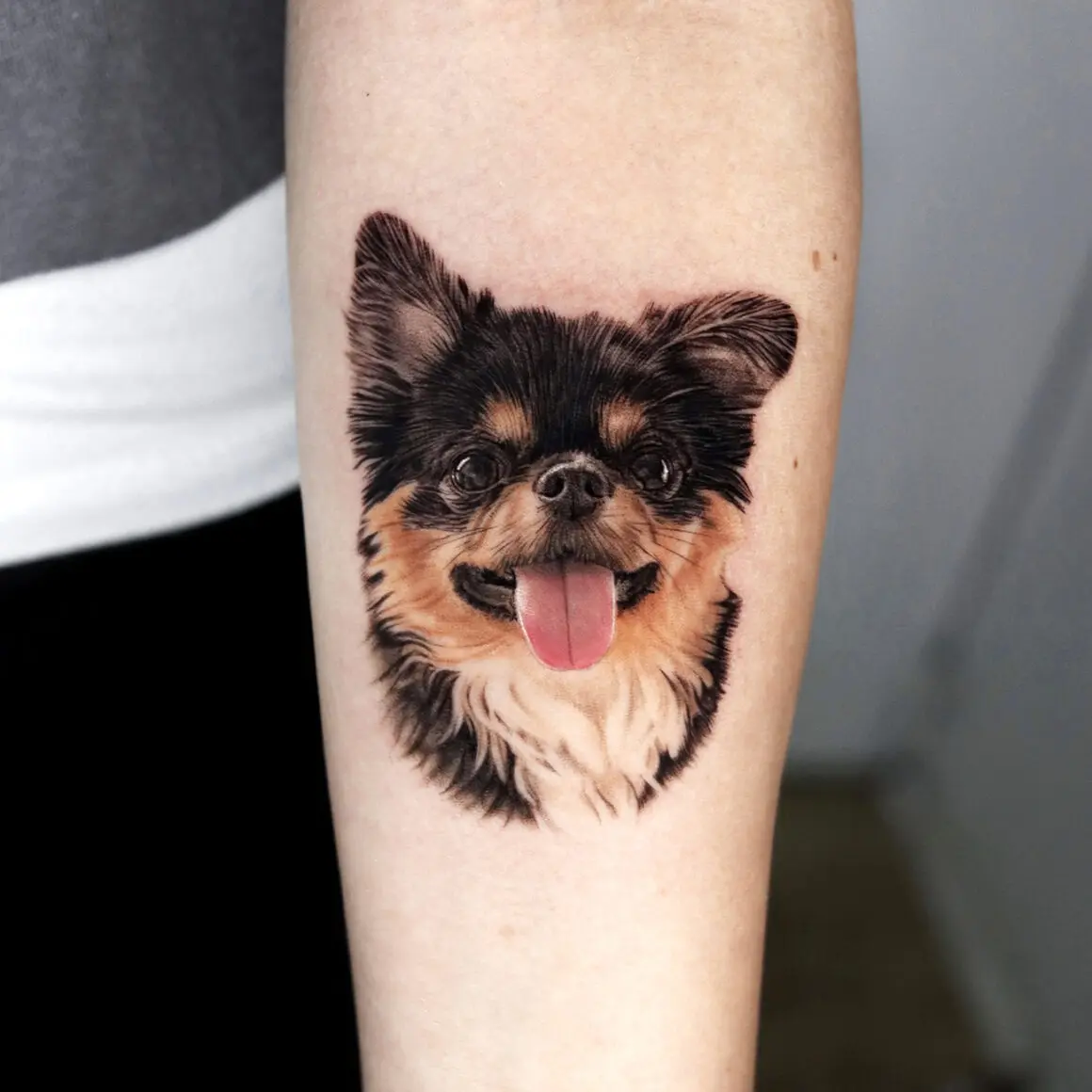 Color realism tattoo of a long-haired Chihuahua portrait