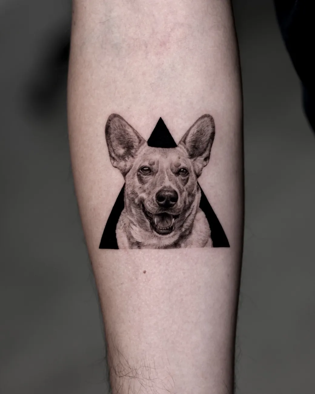 Black and grey realistic dog portrait tattoo in a triangle frame